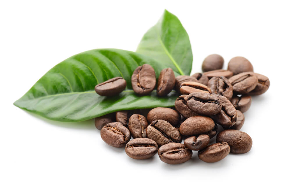 Senior apresenta soluções para o agronegócio para cafeicultores de MG