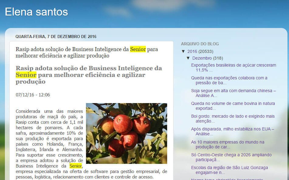 ELENA SANTOS | Rasip adota solução de business inteligence da Senior para melhorar eficiência e agilizar produção