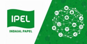 IPEL cresce 60% em dois anos no setor de papéis sanitários