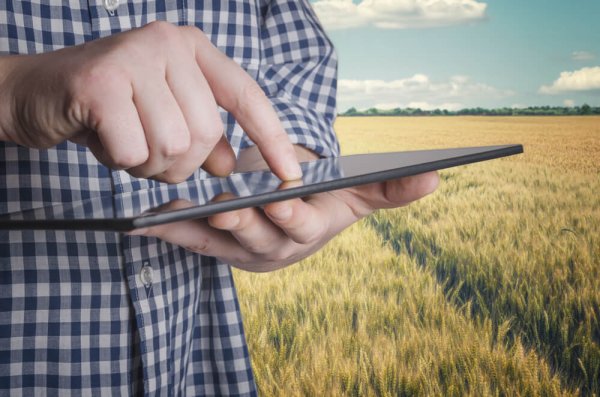 Agronegócio deve crescer 3% em 2018
