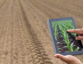 Planejamento Agrícola: o que é e como fazer em 5 passos