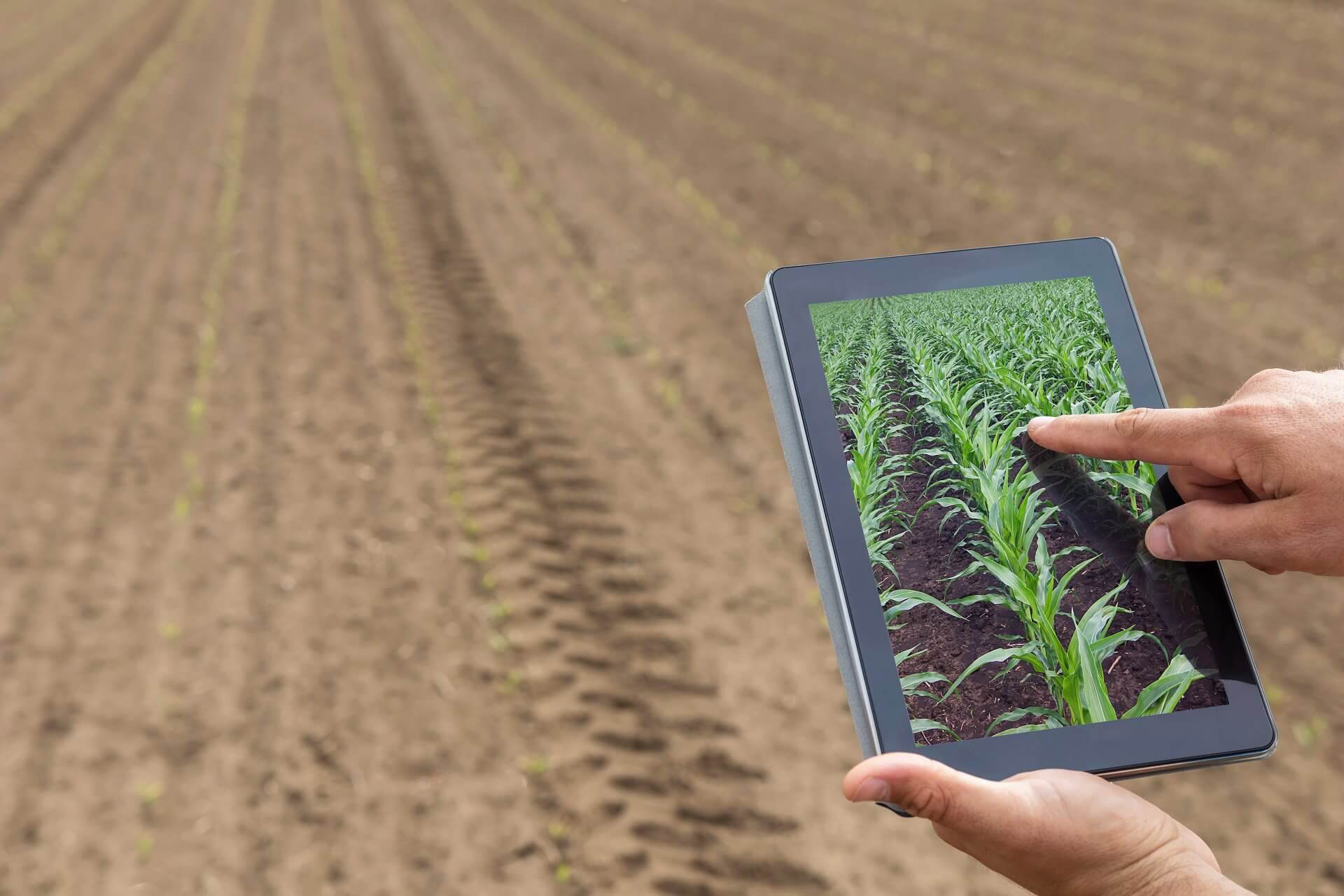 Imagem de planejamento agrícola