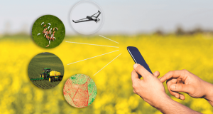 Senior destaca soluções para transformação digital no Top Farmers 2018