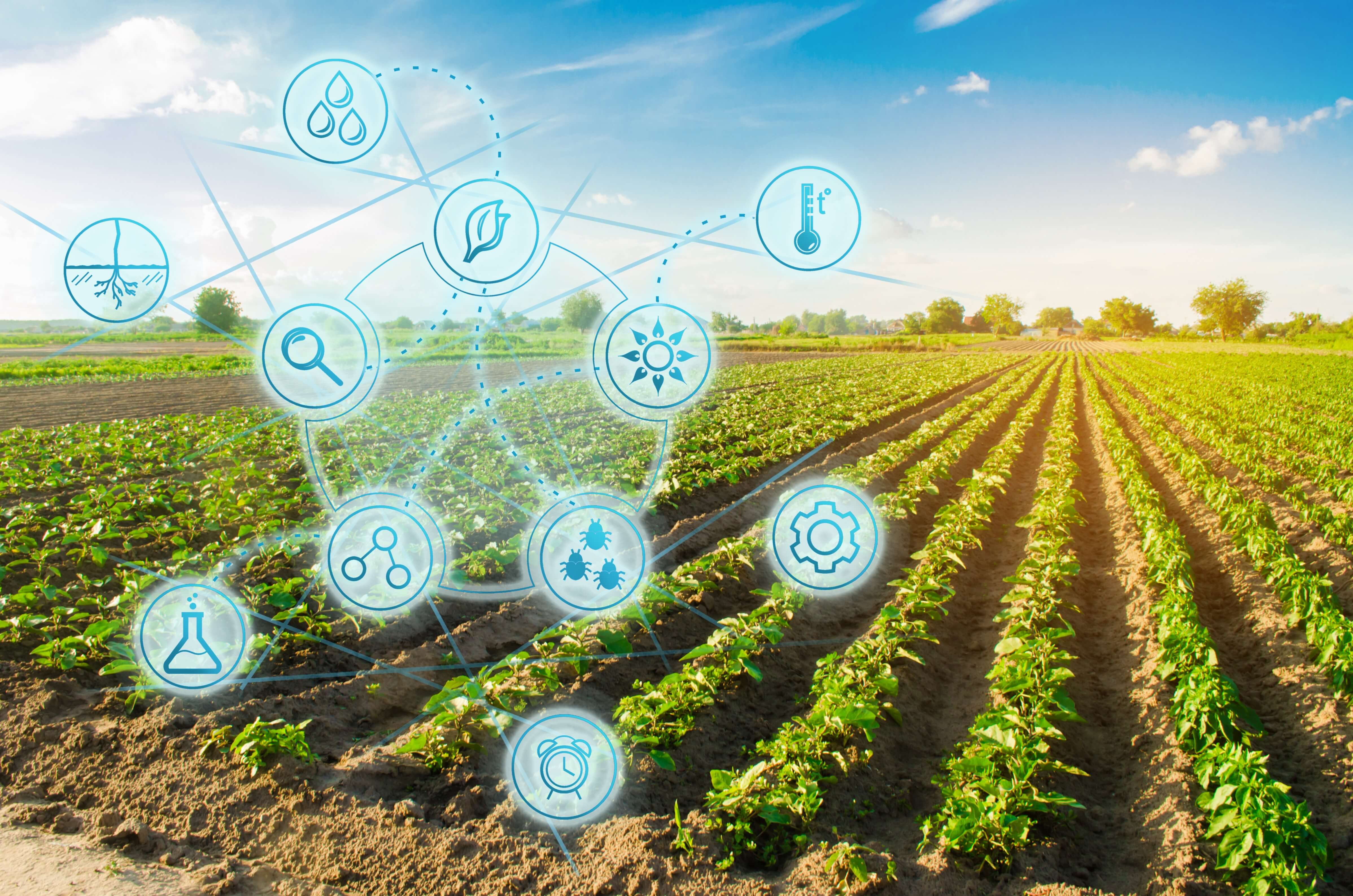 Agronegócio passa por virada digital e pede gestão para alavancar