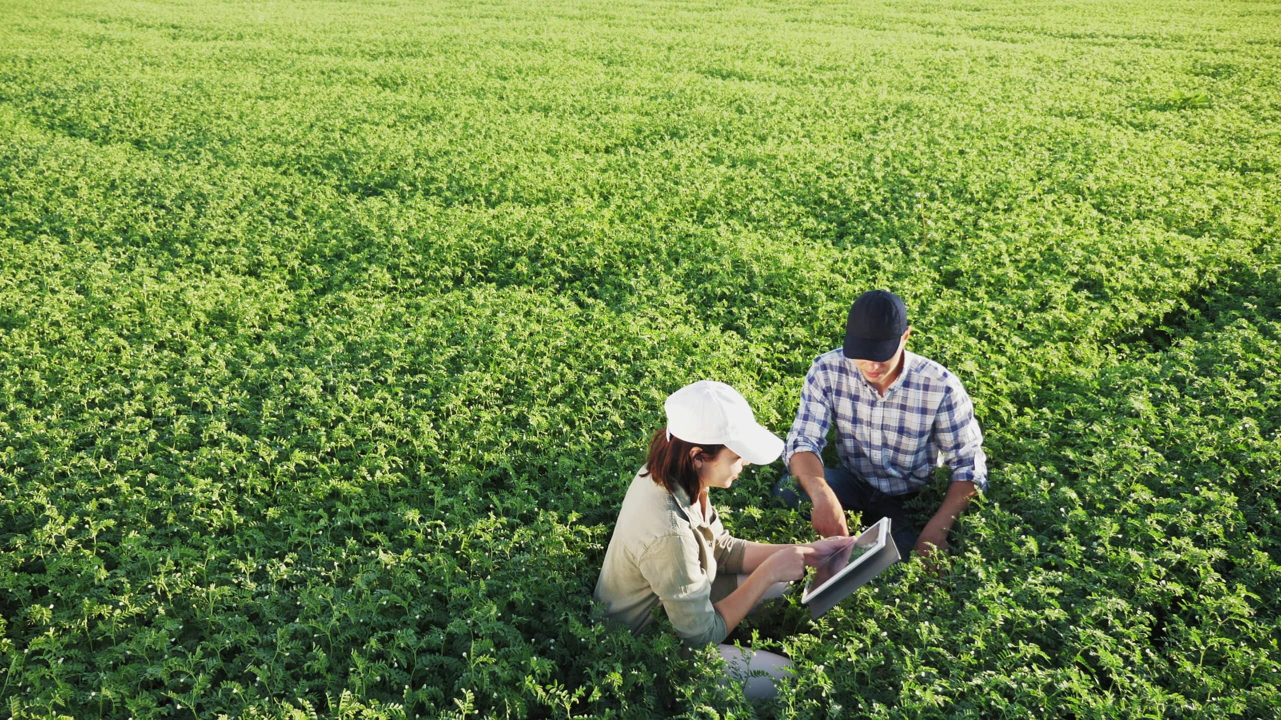 Senior participa da Show Rural 2020 e destaca as tecnologias que estão dominando a gestão no campo