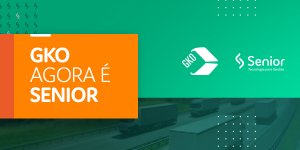 Senior faz nova aquisição e se consolida no setor de logística