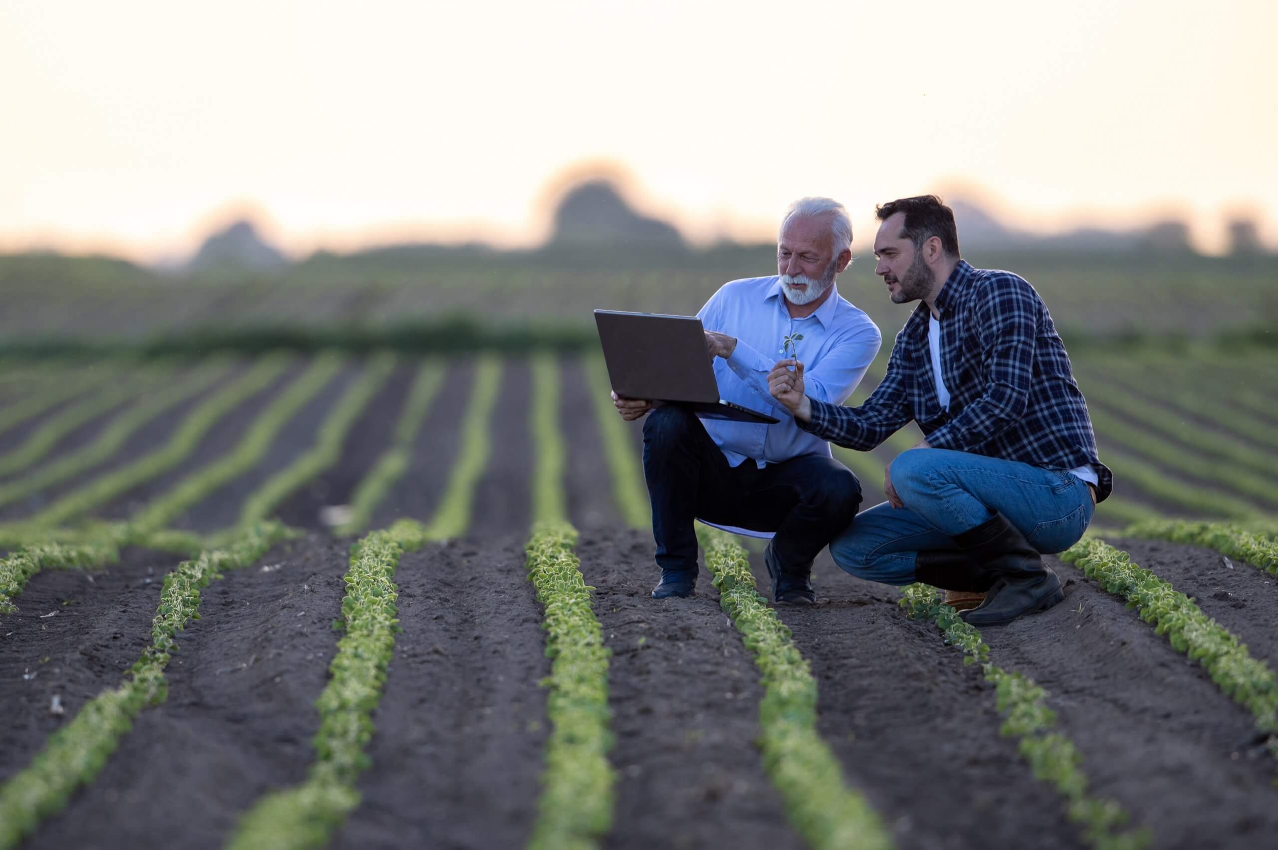 Balanço agronegócio 2021: destaques do ERP da Senior para o setor