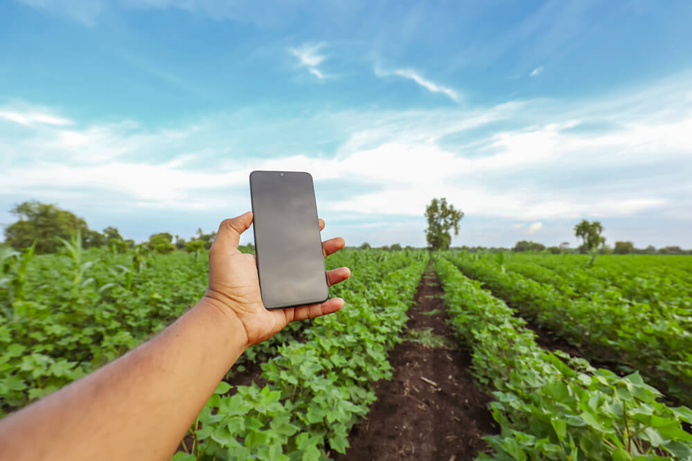 imagem de pessoa segurando o celular em plantação no campo