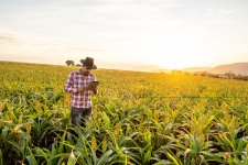 Balanço agronegócio: veja como foi o 1º trimestre do setor na Senior